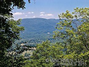 707 Burney Mountain Road Fletcher, NC 28732 - Photo 3 of 21 Gallery Image 3