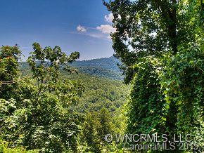 707 Burney Mountain Road Fletcher, NC 28732 - Photo 21 of 21 Gallery Image 21