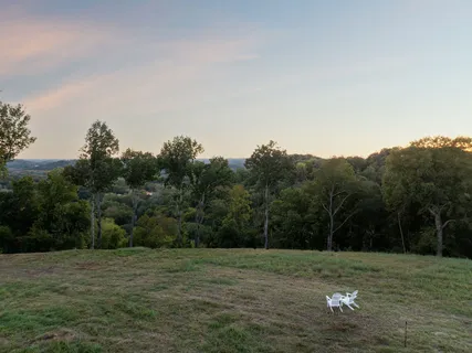 $6,950,000 | 0 Blazer Road, Franklin, TN 37064