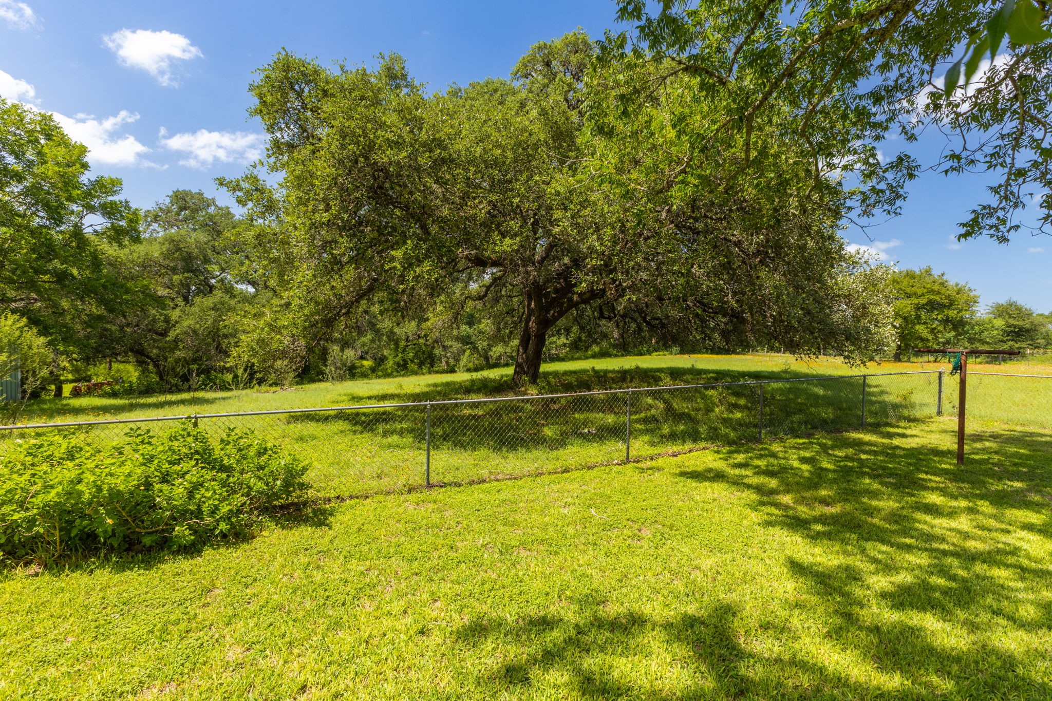 3505 Brunes Mill Road Columbus, TX 78934 - Photo 44 of 49