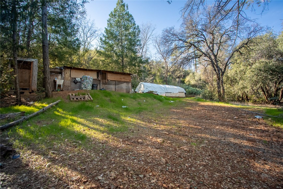 0 Condor Road Oroville, CA 95965 - Photo 18 of 29 a view of a backyard with large trees