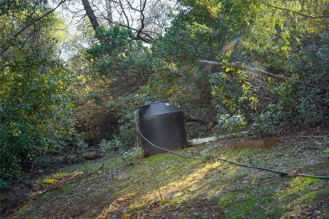 0 Condor Road Oroville, CA 95965 - Photo 23 of 29 a view of a backyard
