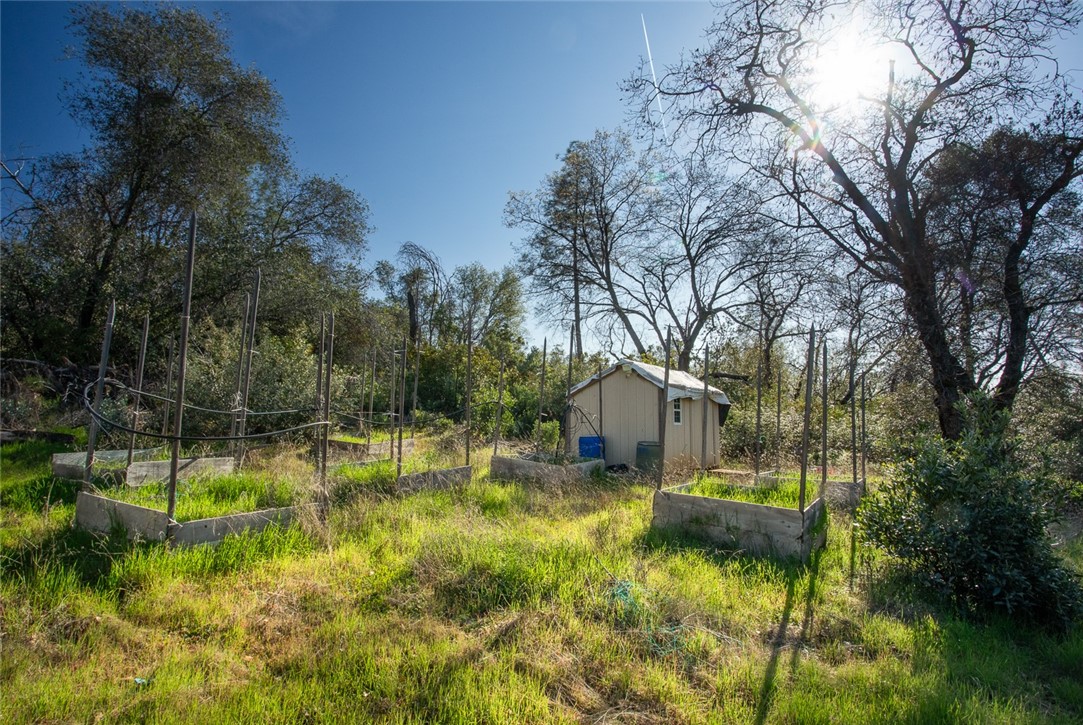 0 Condor Road Oroville, CA 95965 - Photo 25 of 29 a view of swimming pool with a yard and trees
