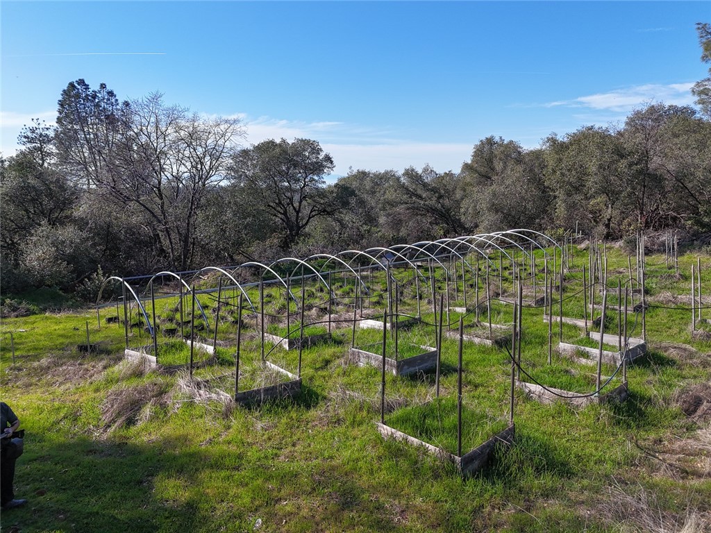 0 Condor Road Oroville, CA 95965 - Photo 3 of 29 a view of a park with large trees