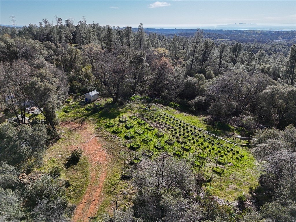 0 Condor Road Oroville, CA 95965 - Photo 5 of 29 a view of a garden with a building in background