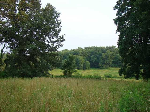 19421 Hopewell Road Mount Vernon, OH 43050 - Photo 8 of 25
