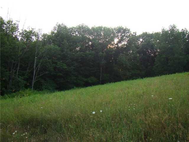 19421 Hopewell Road Mount Vernon, OH 43050 - Photo 9 of 25