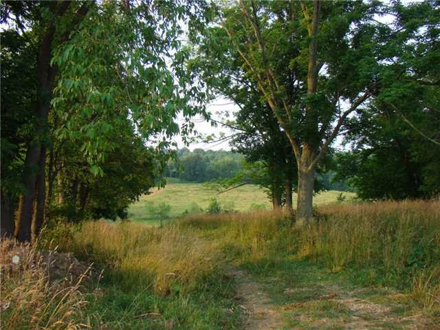 19421 Hopewell Road Mount Vernon, OH 43050 - Photo 10 of 25