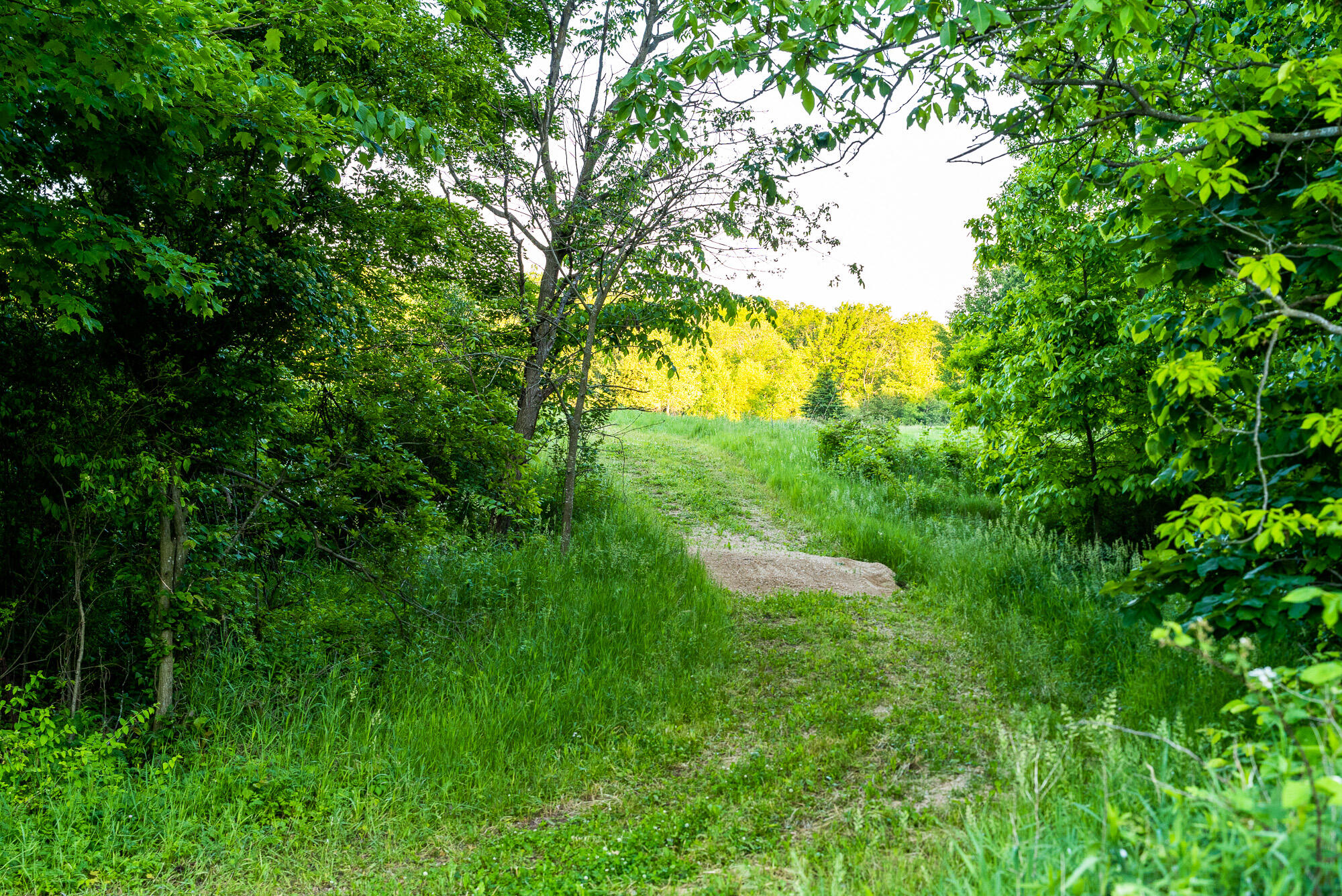 Lt0 Denzer Road North Freedom, WI 53951 - Photo 49 of 68 Sauk-County-WI-54-Acres-Land-For-Sale-49