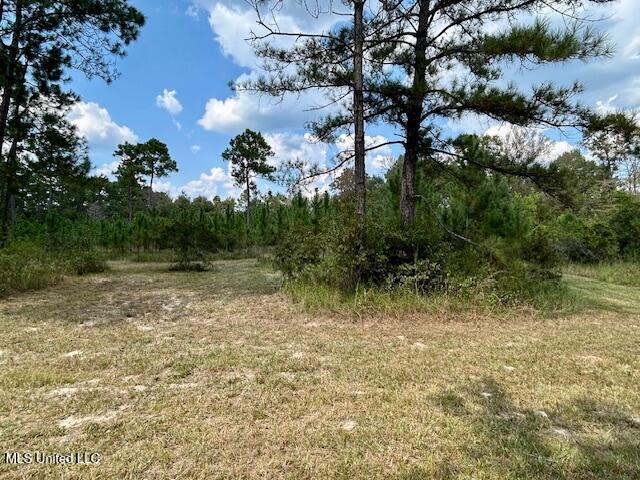 0 Gilbert Preston Road Saucier, MS 39574 - Photo 11 of 14 IMG_1507