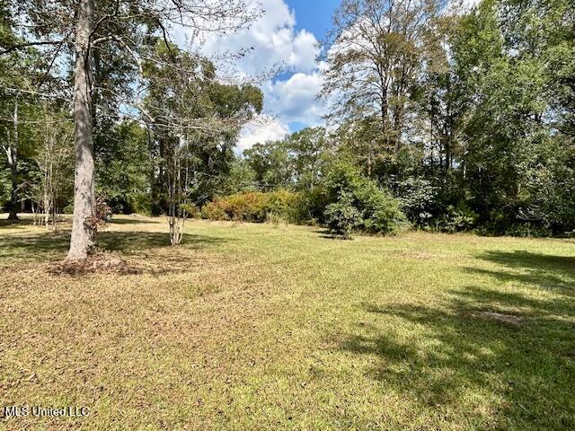 0 Gilbert Preston Road Saucier, MS 39574 - Photo 13 of 14 IMG_1511