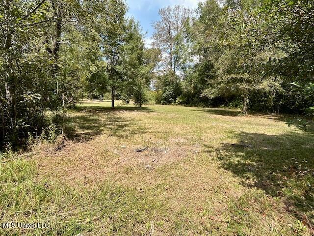 0 Gilbert Preston Road Saucier, MS 39574 - Photo 14 of 14 IMG_1512