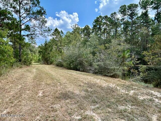 0 Gilbert Preston Road Saucier, MS 39574 - Photo 5 of 14 IMG_1506