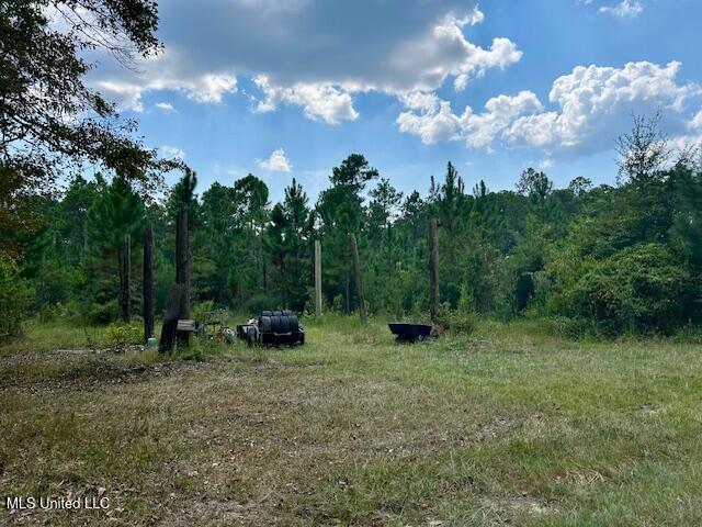 0 Gilbert Preston Road Saucier, MS 39574 - Photo 7 of 14 IMG_1499