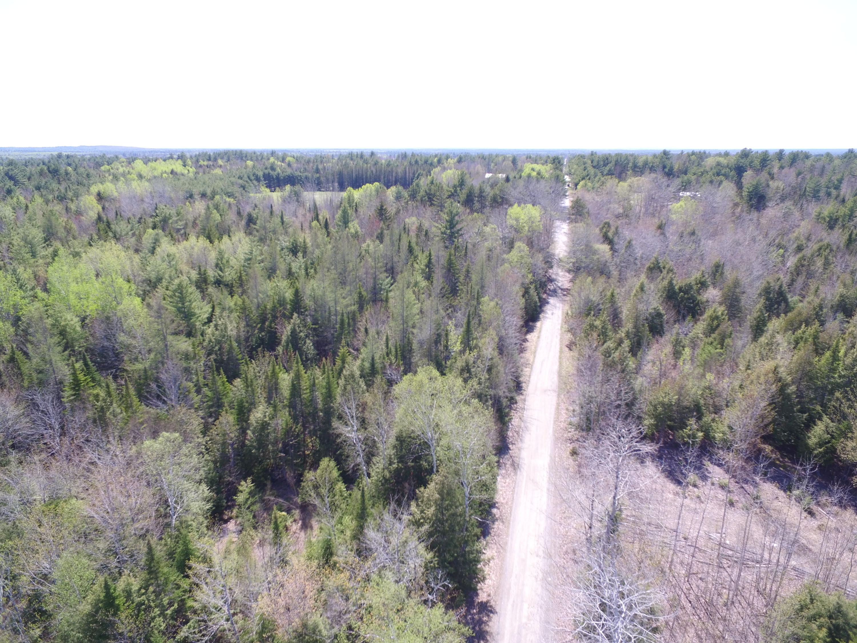 Tbd East Ridge Road Greenbush, ME 04418 - Photo 2 of 9 DJI_0142