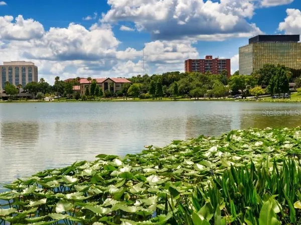 a view of a city with a lake