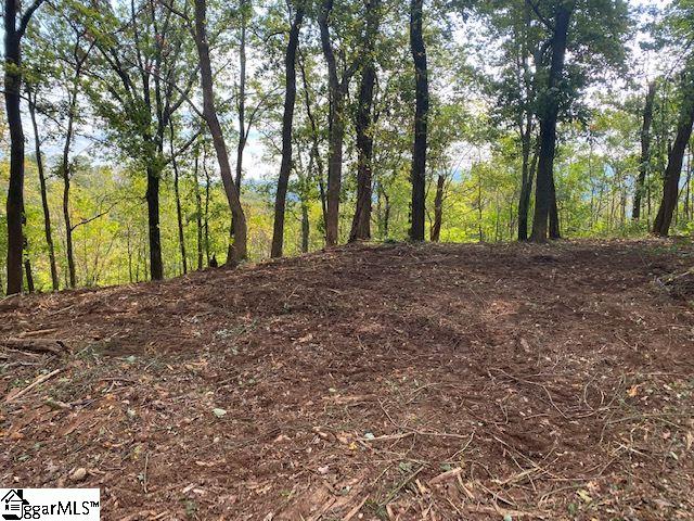 143 Raptor Way Landrum, SC 29356 - Photo 3 of 5