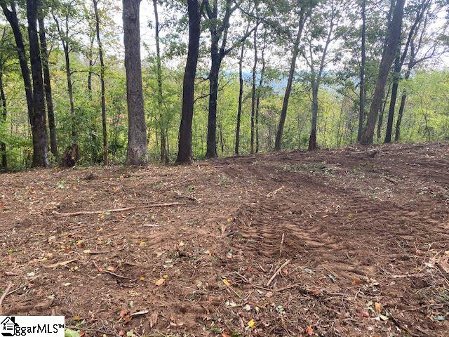 143 Raptor Way Landrum, SC 29356 - Photo 4 of 5