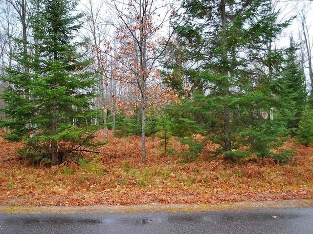 On On Echo Ridge Drive, Unit LOT 3 Eagle River, WI 54521 - Photo 1 of 5 Gallery Image 1