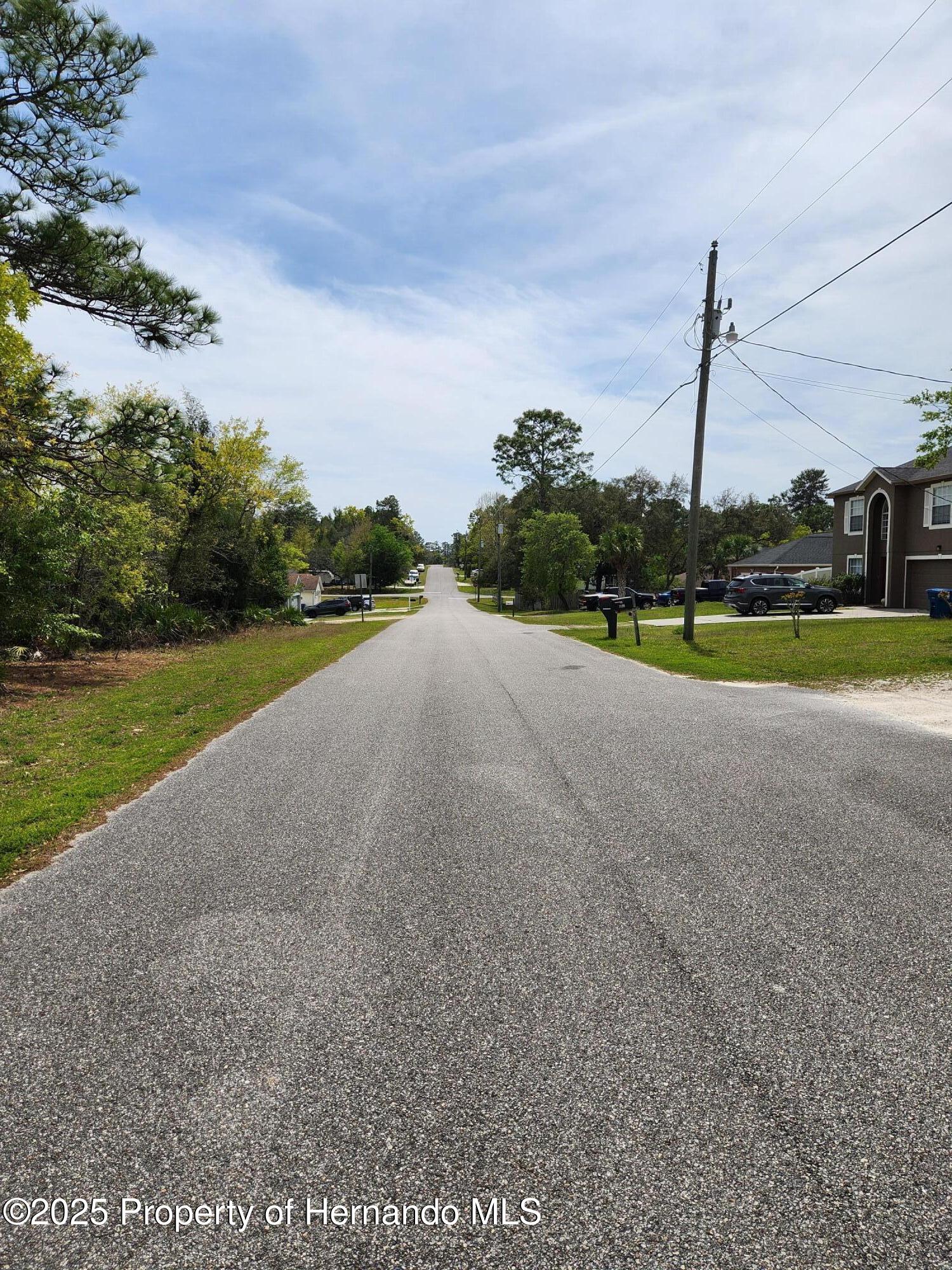 0 Liberto Road Weeki Wachee, FL 34614 - Photo 4 of 5