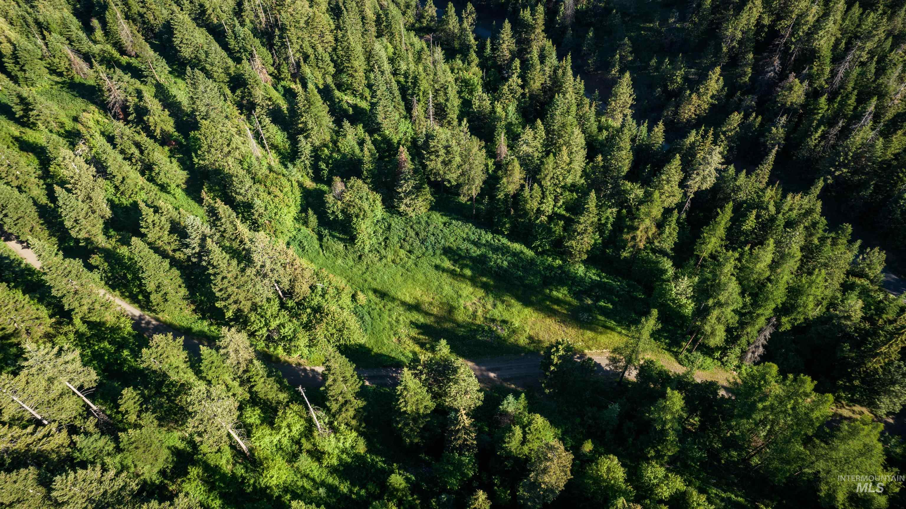 Tbd Buck Board Lane Lewiston, ID 83501 - Photo 3 of 18