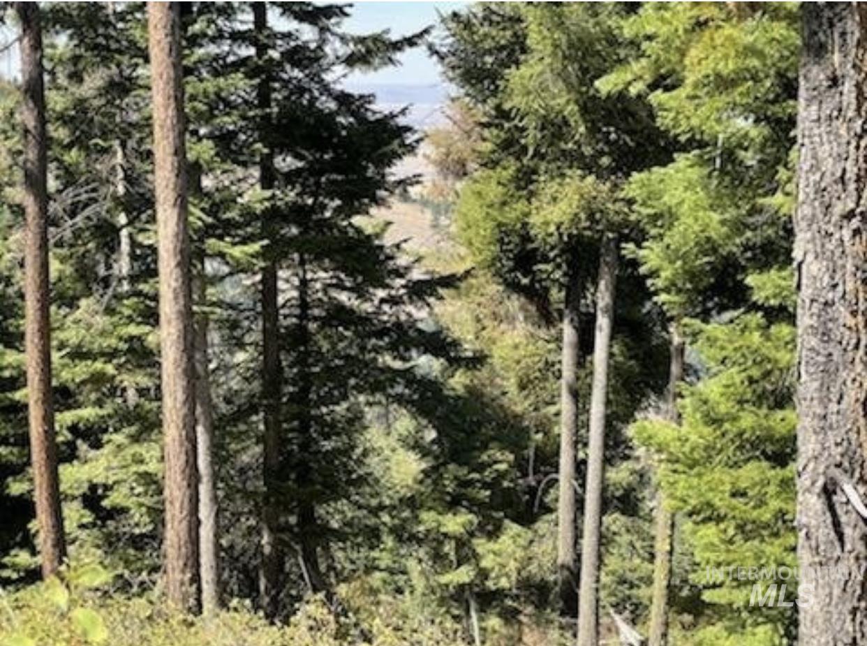 Tbd Buck Board Lane Lewiston, ID 83501 - Photo 5 of 18