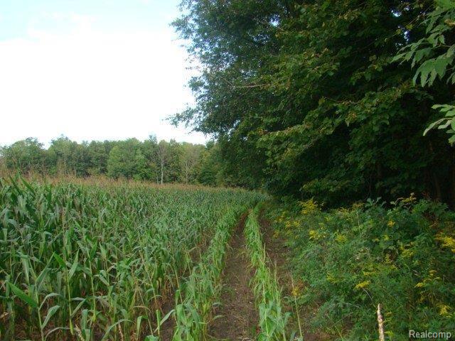 2105 West Barnes Road Fostoria, MI 48435 - Photo 4 of 9 75 acres Barnes Rd. 012
