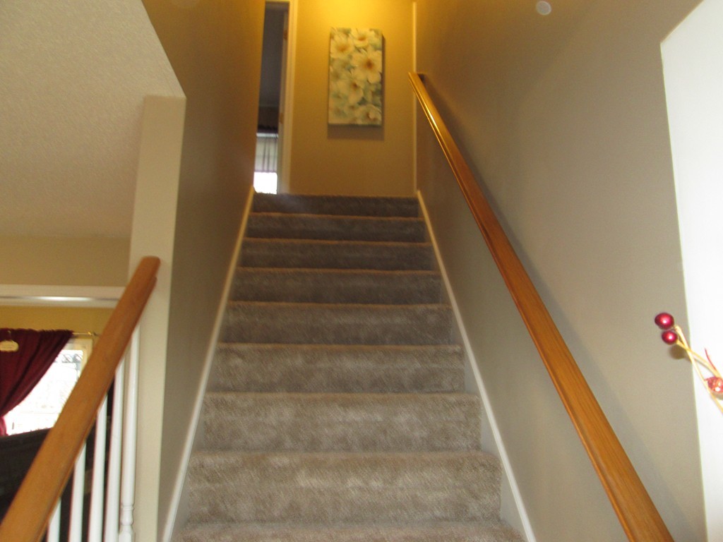 28 Jimmy Court Springfield, MA 01104 - Photo 18 of 22 Gallery Image 18