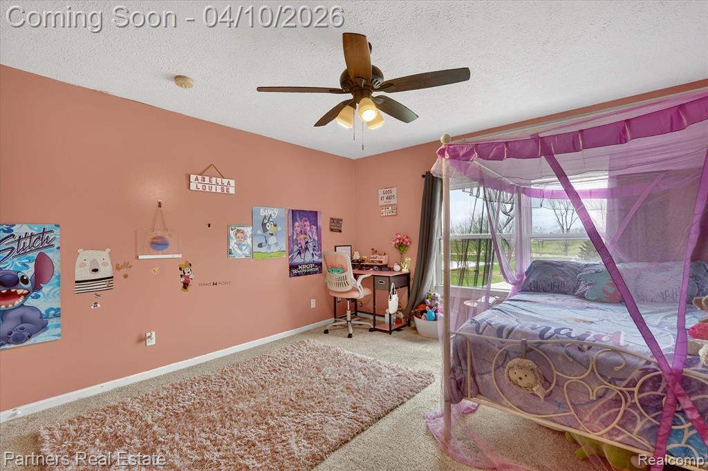 10863 Judd Road Fowlerville, MI 48836 - Photo 28 of 70