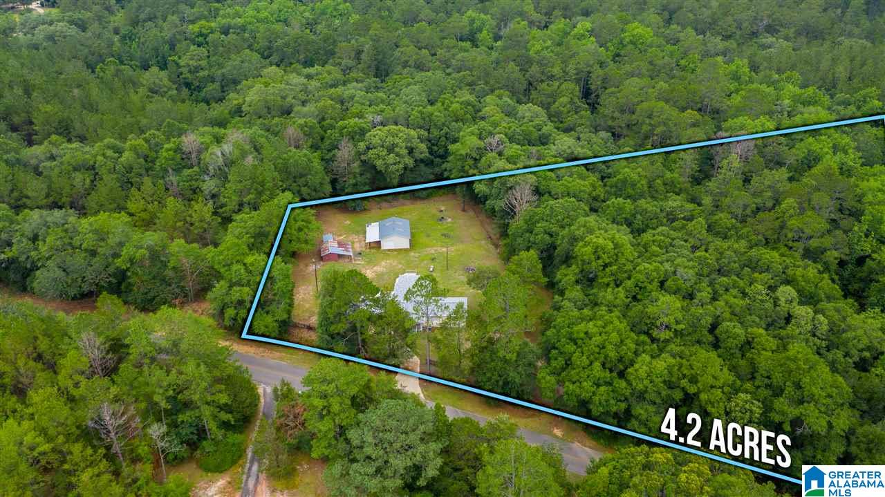 11249 Rockhole Bridge Road Florala, AL 36442 - Photo 1 of 41