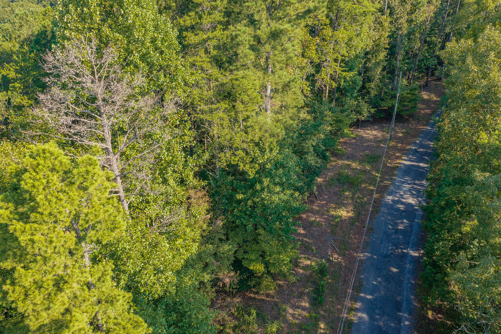 Lot 1709 Rebekah Ridge Road Talking Rock, GA 30175 - Photo 13 of 23 Gallery Image 13