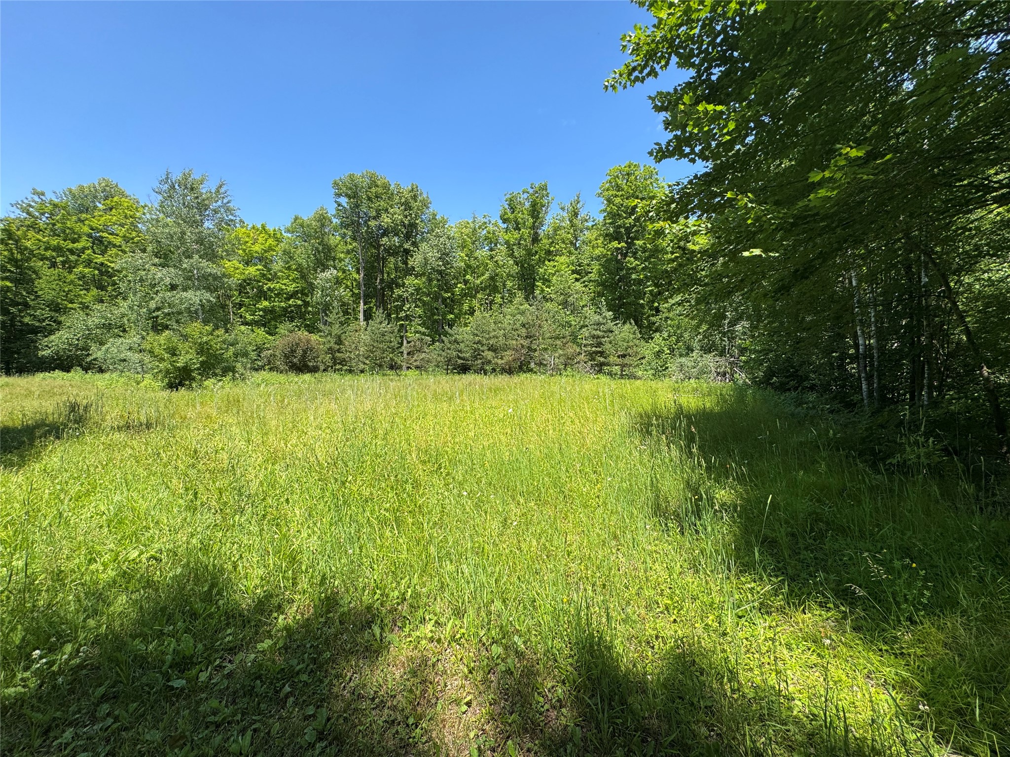 7154 West Mc Dermott Road Winter, WI 54896 - Photo 40 of 58