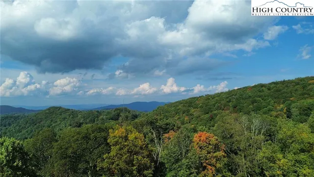 a view of a yard with plants and trees