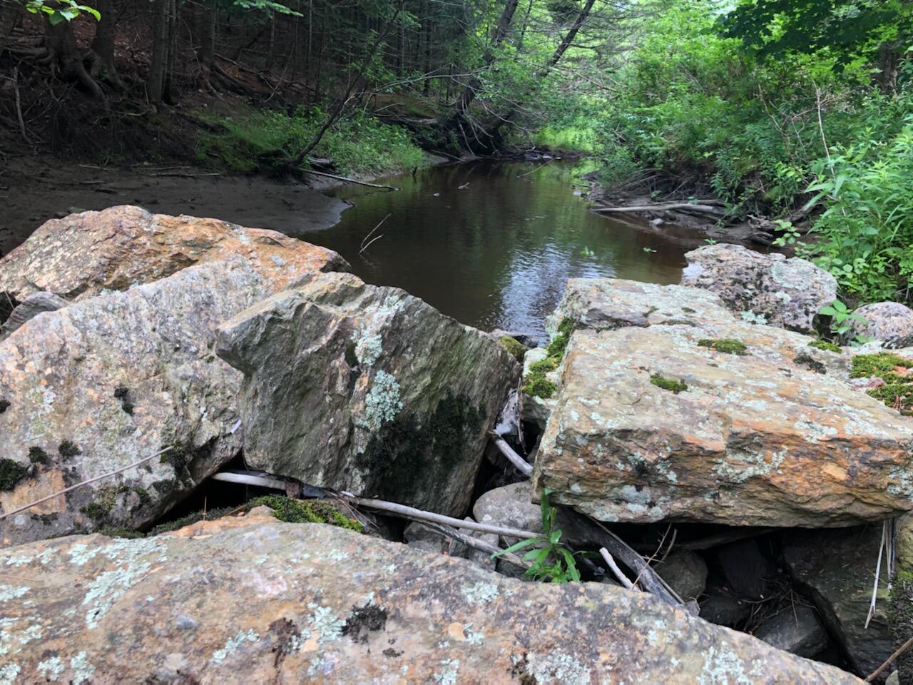 8 Old Mill Road Cushing, ME 04563 - Photo 15 of 16 IMG_20210627_122150