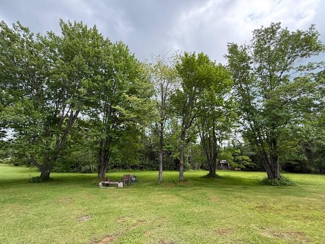 2077 South Princeton Road Baileyville, ME 04694 - Photo 96 of 104 IMG_9744 (1)