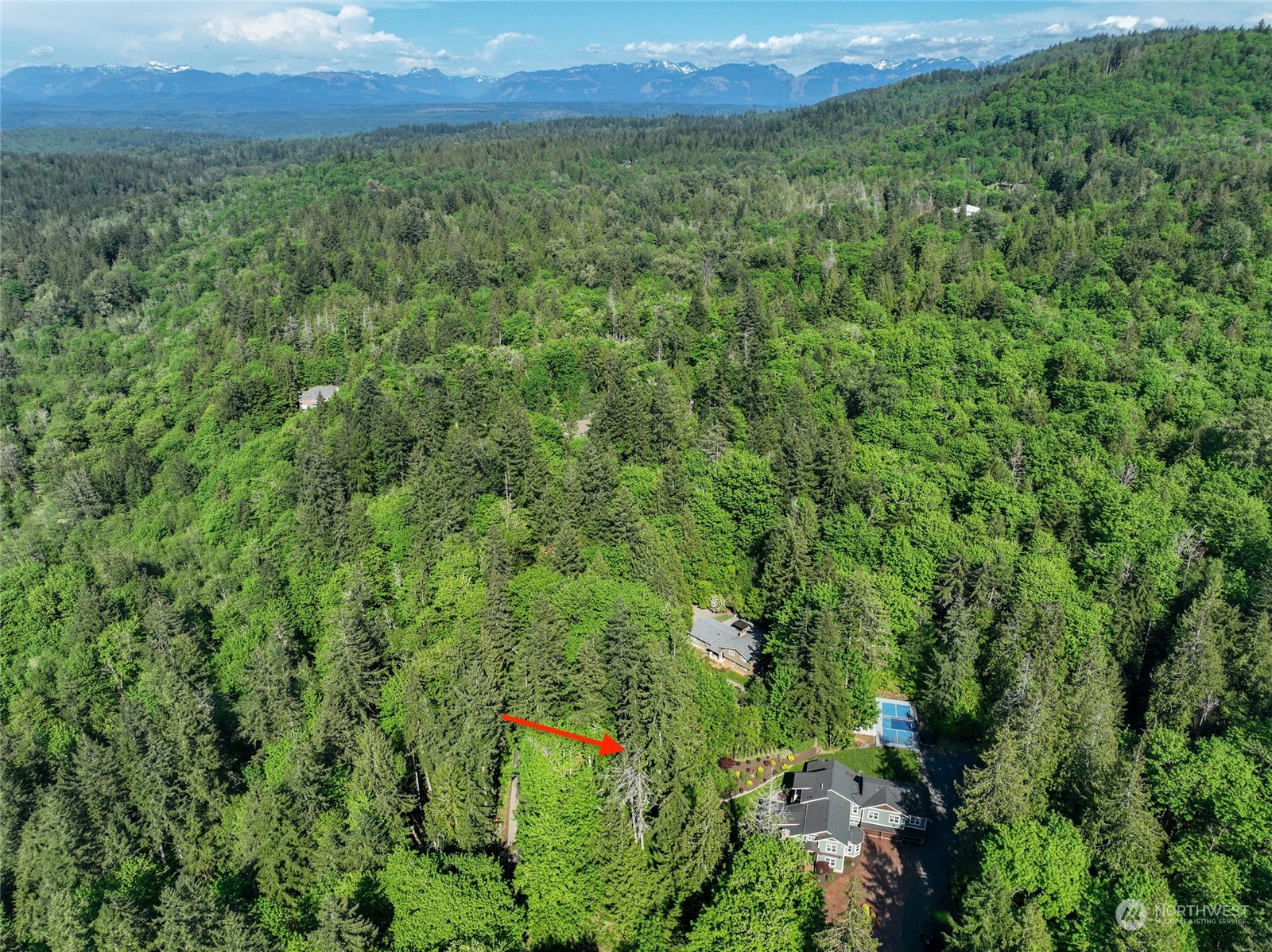 25635 Southeast Old Black Nugget Road Issaquah, WA 98029 - Photo 35 of 39 a view of a green field with lots of bushes