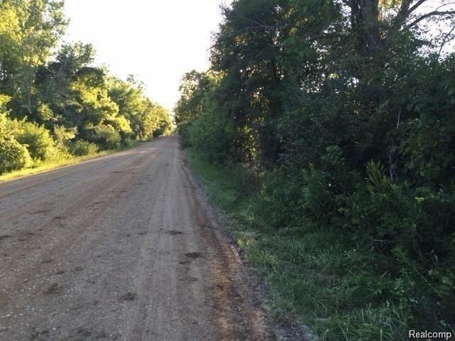 Parcel A Parcel A Ray Road Ortonville, MI 48462 - Photo 5 of 6