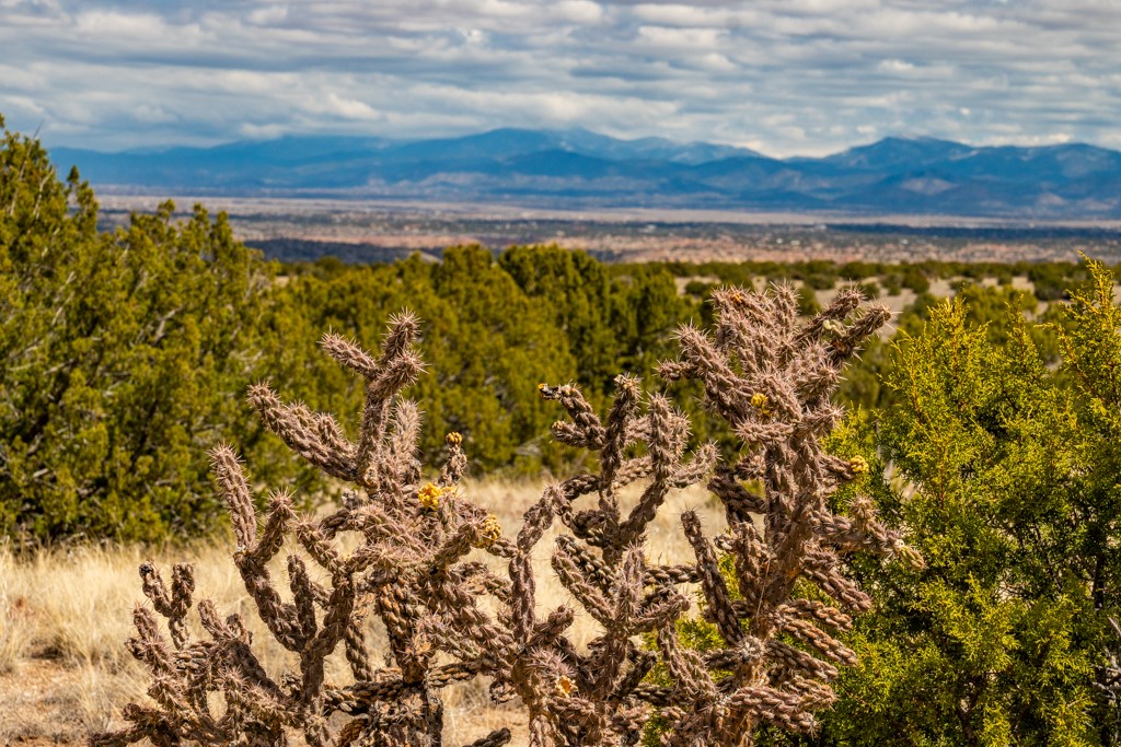 Tbd Hanuman Road Cerrillos, NM 87010 - Photo 10 of 33
