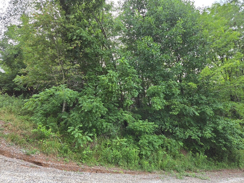 Lot 21 Rural Retreat Lake Road, Unit 21 Rural Retreat, VA 24368 - Photo 12 of 16 Gallery Image 12