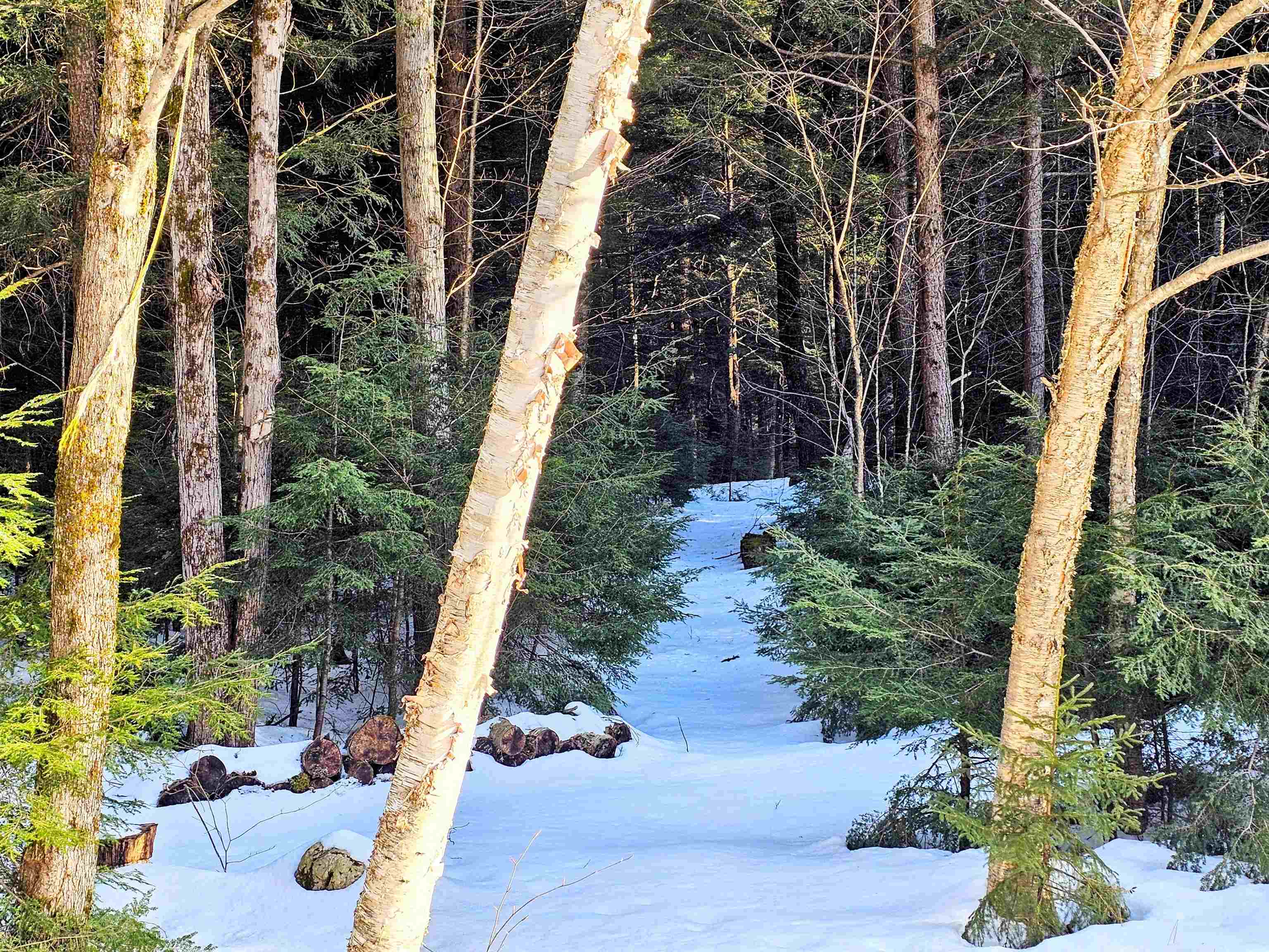 962 Chapel Hill Road Whitingham, VT 05361 - Photo 21 of 31
