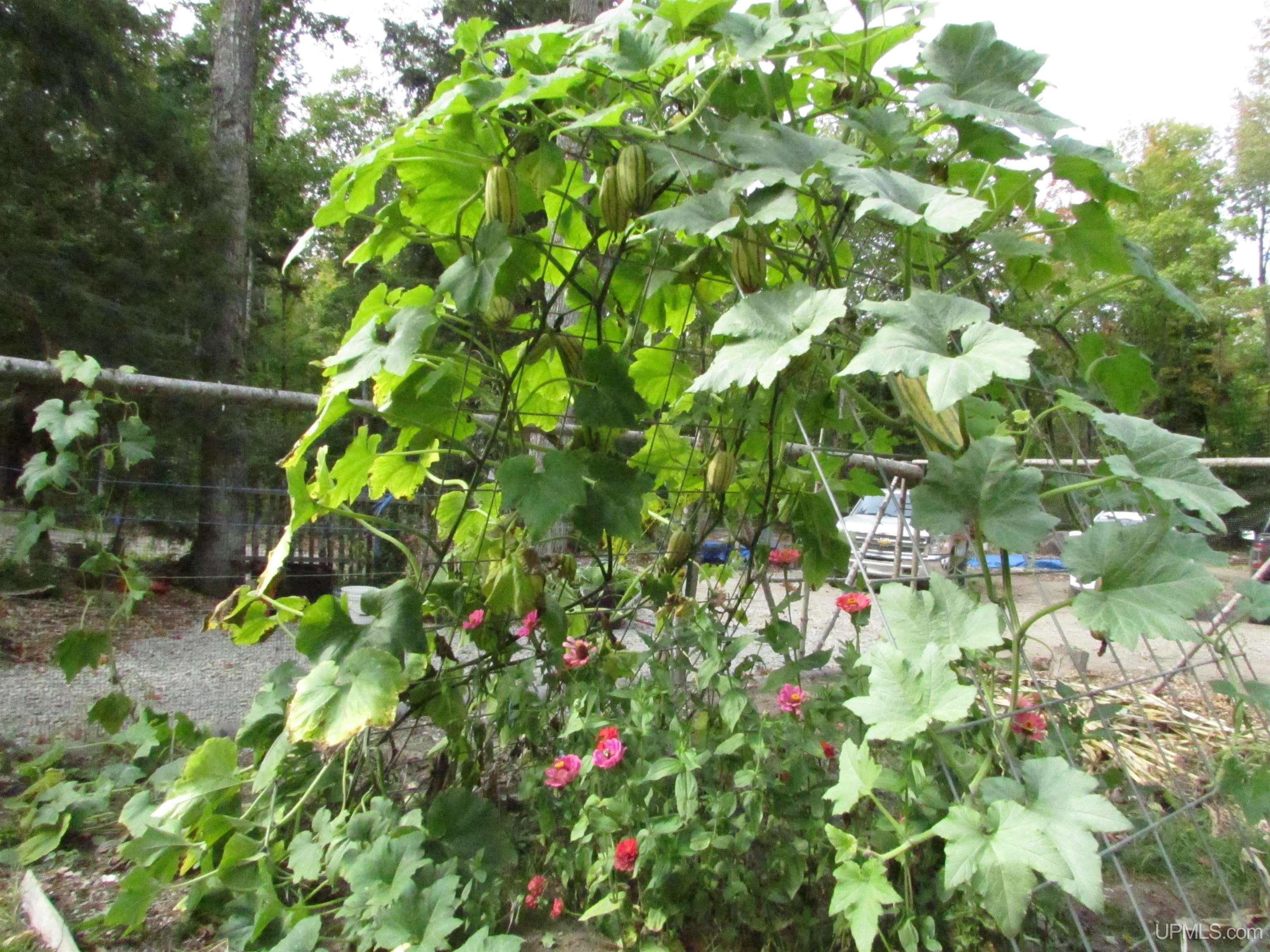 N3594 Raspberry Lane Munising, MI 49862 - Photo 37 of 67