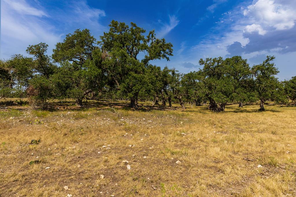 515 Lange Road Harper, TX 78631 - Photo 33 of 38 Gallery Image 33