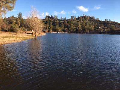 0 Lakeside Drive, Unit 1 Mountain Ranch, CA 95246 - Photo 3 of 11 The Lake offers beaches.