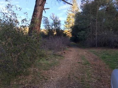 0 Lakeside Drive, Unit 1 Mountain Ranch, CA 95246 - Photo 6 of 11 Continuing up the easement