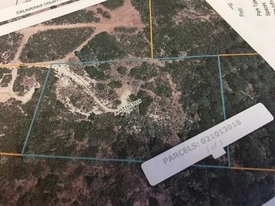 0 Lakeside Drive, Unit 1 Mountain Ranch, CA 95246 - Photo 7 of 11 Parcel outline in blue, easement is along the top property line.