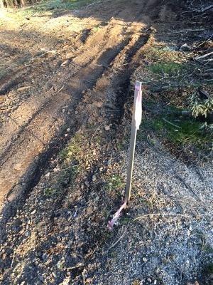 0 Lakeside Drive, Unit 1 Mountain Ranch, CA 95246 - Photo 8 of 11 Corner pin and survey stake