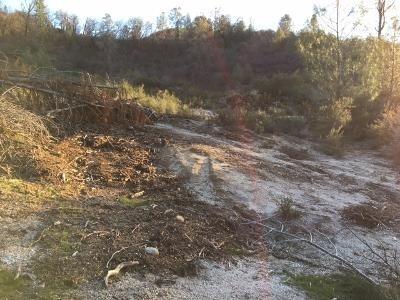 0 Lakeside Drive, Unit 1 Mountain Ranch, CA 95246 - Photo 9 of 11 Midslope homesite