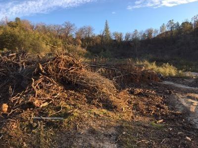 0 Lakeside Drive, Unit 1 Mountain Ranch, CA 95246 - Photo 10 of 11 Homesite behind brush pile