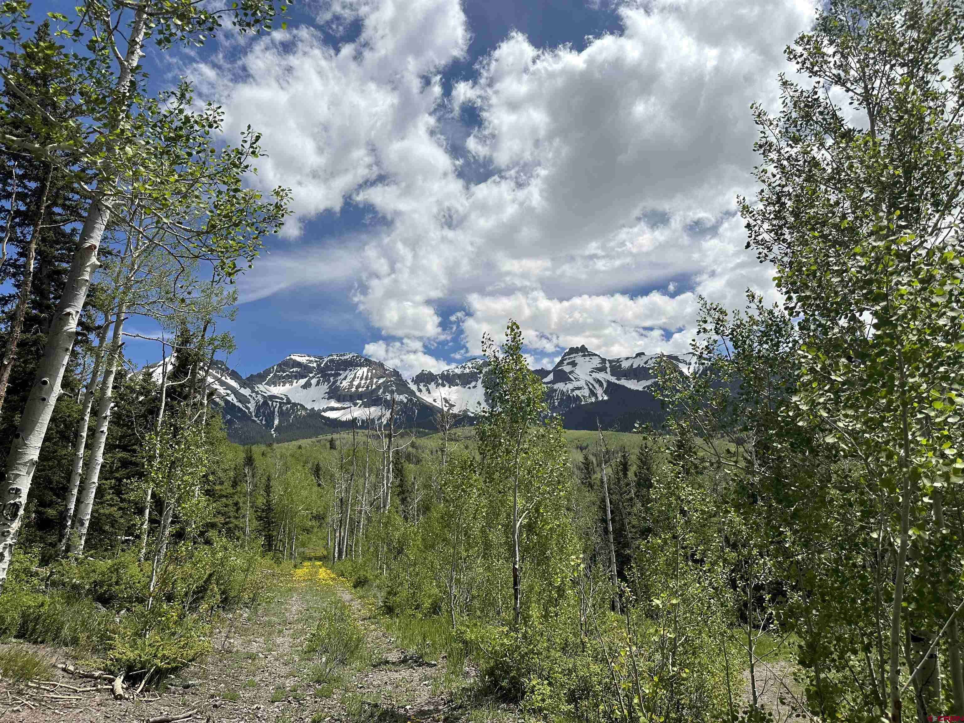 13 County Road 5 Ridgway, CO 81432 - Photo 11 of 23 a view of a garden
