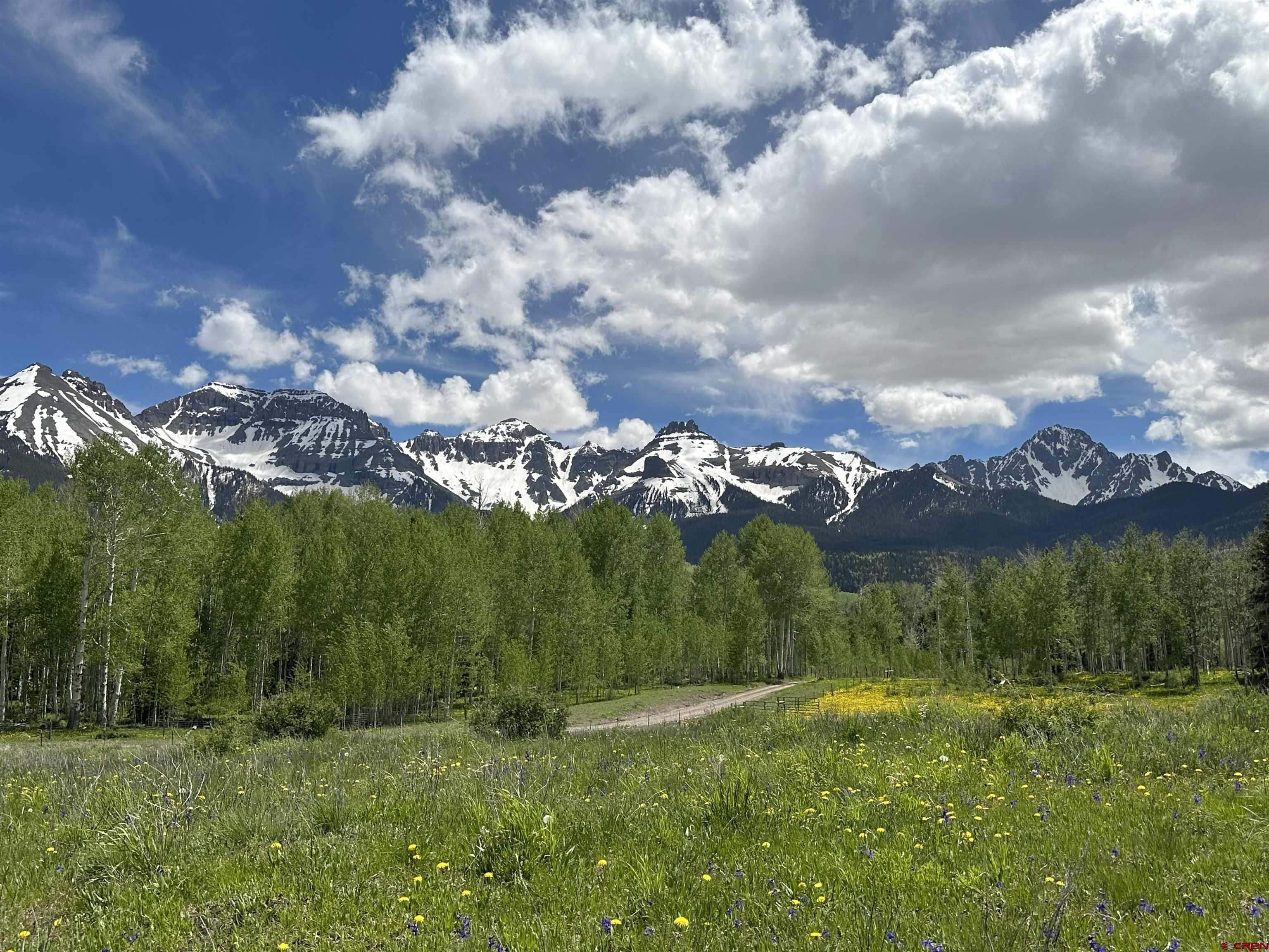 13 County Road 5 Ridgway, CO 81432 - Photo 14 of 23 a view of a big yard
